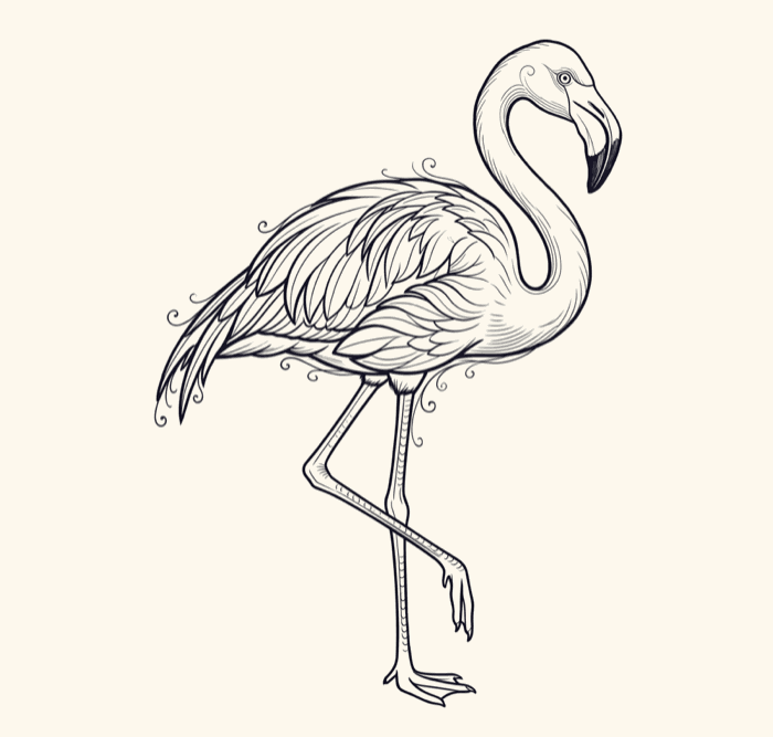 Illustration de flamant rose, posture d'équilibre et de vigilance